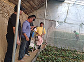 ��ݮ�Nֲ���(h��) (t��ng)ȡˮ�ܷʽ�B3